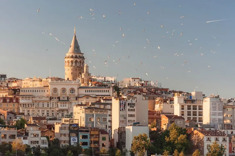 Best Zoho partner in Turkey